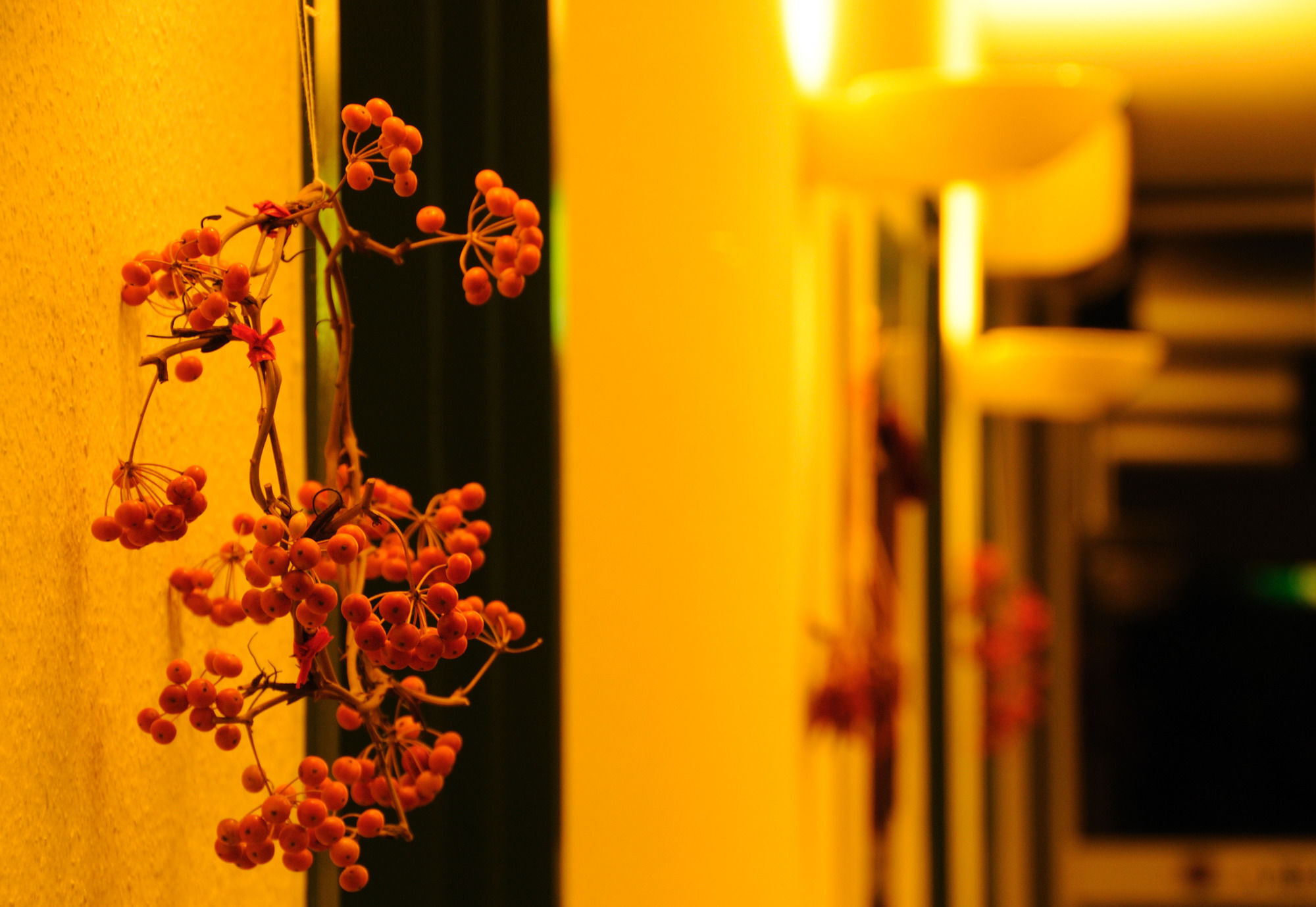Petit Resort Hotel Alcyon Ito  Εξωτερικό φωτογραφία